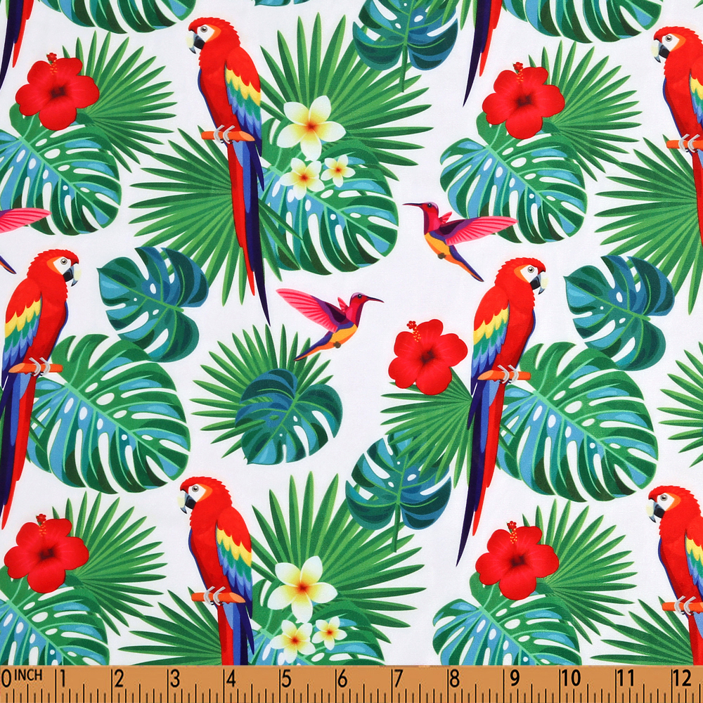 S66 -parrots palms tropical Rashguard printing 4.0